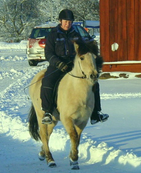 Yrsa